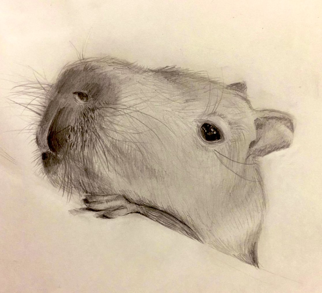 takatakata66666's tweet photo. 小3の個人懇談会で担任から

「絵の描き方の授業で、皆はきちんと描けるのに◯ちゃんだけ夜の空を紫色、太陽は白、雲を灰色で描く。好きな色は黒。発達障害では？検査した方が…」

見たまま描いてるだけで？

好きなだけ好きな事をして今は絵のお仕事も頂くようになりました。
これは13才の時の絵。 https://t.co/wKaQ0KqYq7