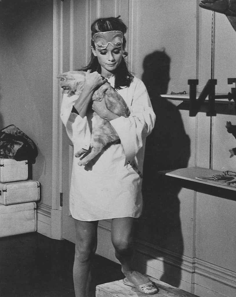 Audrey Hepburn photographed on the set Breakfast at Tiffany's, 1961 #GlobalCatDay
