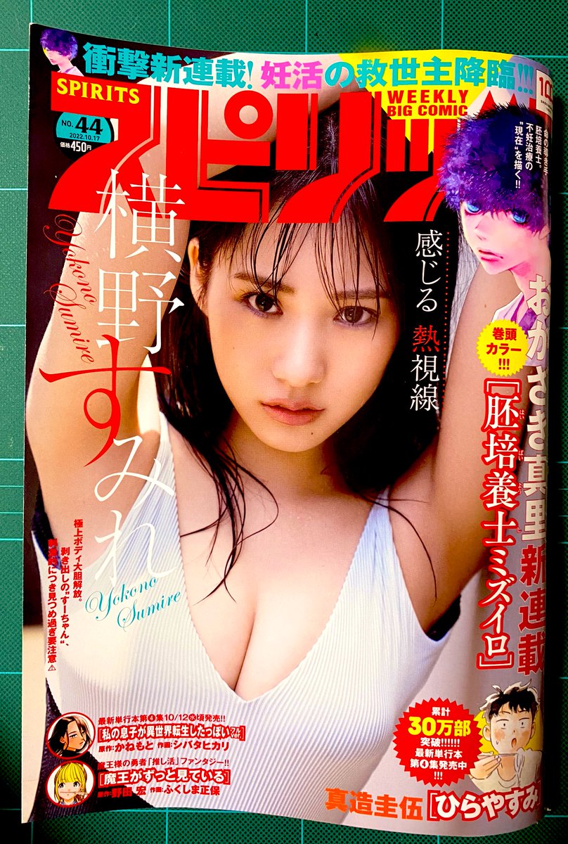 ひらやすみの4巻の続きが読みたいのと、見開きのカラーが見たくて買いました。カラーも白黒も素敵でした。
ヒデキくん好きなので、たまらない回でした。居場所で色んなことが変わる、良い事もそうでない事も。ヒデキくん、あらためてまたさらに好きになりました。 