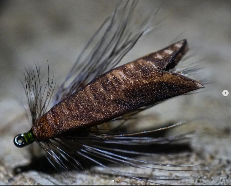 Saltwateronfly's tweet photo. Cool Caddis
@mojosumo
UNSIKABLE - CADDIS
.
.
.
.
.
#whitingfarms #nightmoth #streakingcaddis #caddisfly #egglayingcaddis #dryflies #dryfly #dryflyfishing #troutonthefly #troutbum #troutcandy #fluebinding #gvsflytyingsystem #mothcaddis #phryganeagrandis https://t.co/gH8kFOVTFT