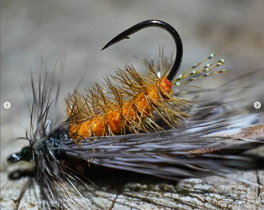 Saltwateronfly's tweet photo. Cool Caddis
@mojosumo
UNSIKABLE - CADDIS
.
.
.
.
.
#whitingfarms #nightmoth #streakingcaddis #caddisfly #egglayingcaddis #dryflies #dryfly #dryflyfishing #troutonthefly #troutbum #troutcandy #fluebinding #gvsflytyingsystem #mothcaddis #phryganeagrandis https://t.co/gH8kFOVTFT