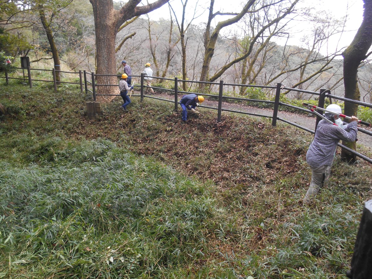 run_run_ranma's tweet photo. 滝山城は「城跡公園」になれていない
滝山城は「公園」のまま
今、この公園で私たちの活動において刈払機などのエンジン動力の機器が使用禁止になってしまいました。
理由は、もし事故が起きたら誰が責任を・・と。
今の滝山城ひどい荒れ山。日本遺産の一部になってから悪くなった。城跡の魅力が↓↓↓ https://t.co/UEu4B2Bbqa