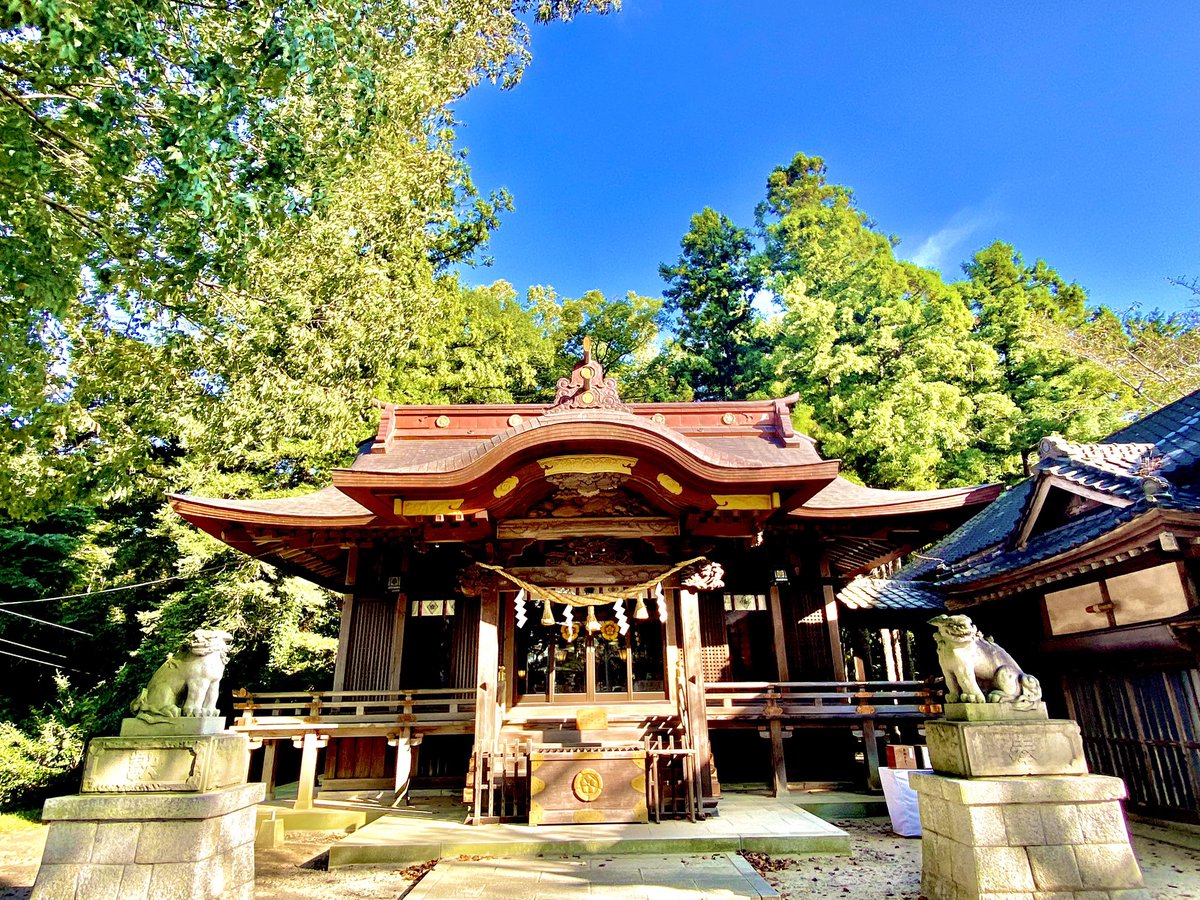 monpenchan333's tweet photo. #素鵞神社 
迫力ある虎の御朱印を
頂いてきました( *´꒳`*)
#御朱印 https://t.co/S3Yr6w2TcT