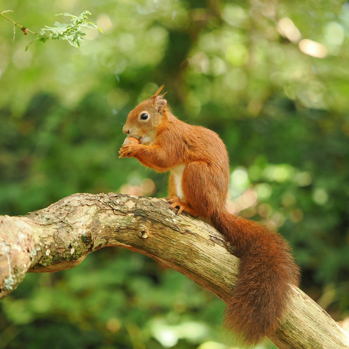 Captured here on Anglesey, whilst out with my <a href="/OlympusUK/">OM Digital Solutions</a> OM1 and 40-150mm lens on a recent afternoon's outing.