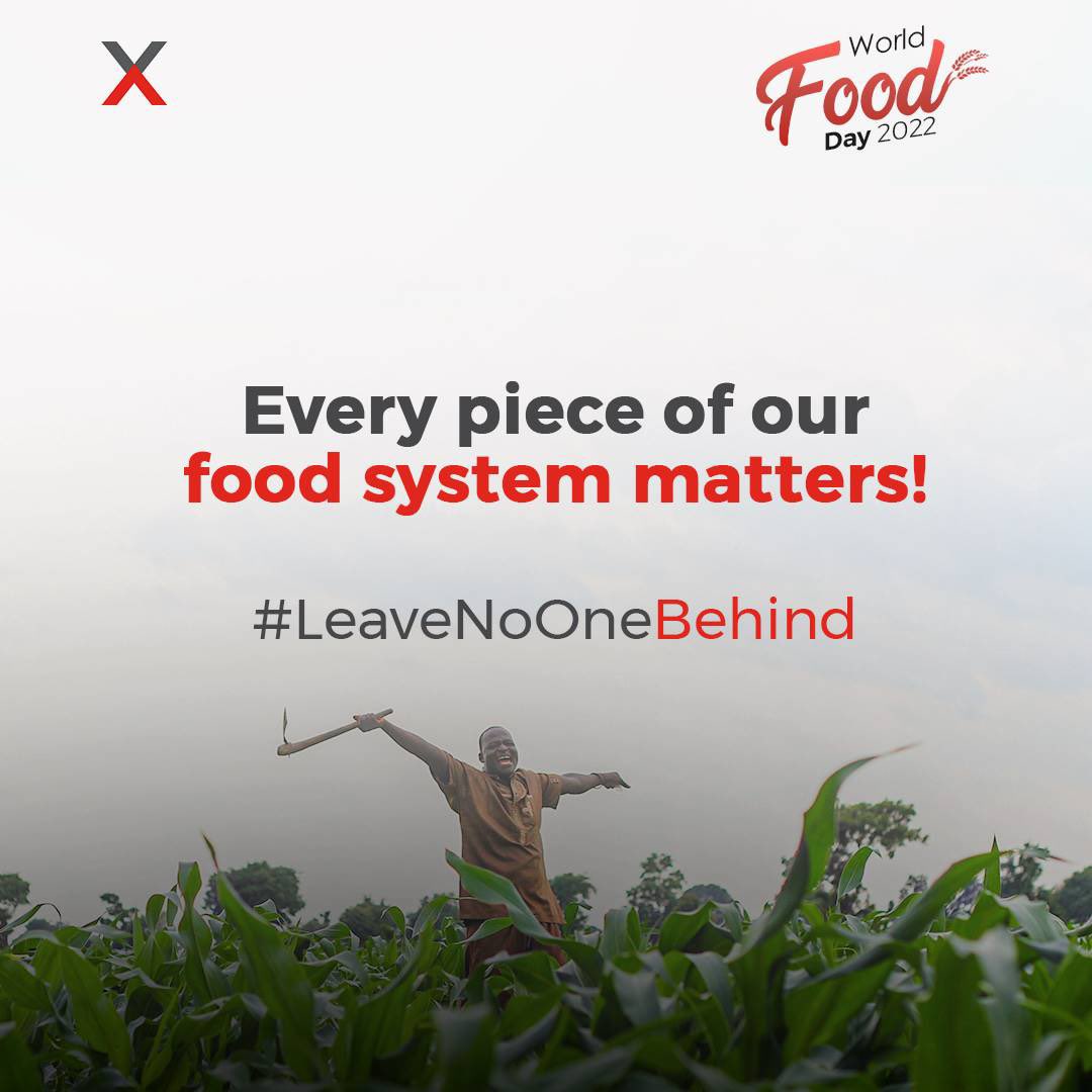 AFEXNigeria's tweet photo. Our food systems thrive in the light of the collective action of so many players.
We say a happy World Food Day to all food system actors across Africa.
Letβs recommit to feeding our continent and the world.
#LeaveNoOneBehind #AFEXPlantLaunch #WorldFoodDay2022 #WorldFoodDay https://t.co/1rStY2t8mZ