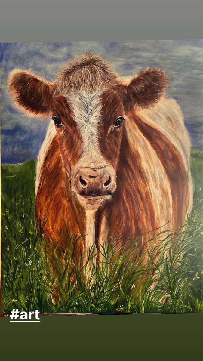 Sunday, Funday! Luisterboekje, verf, kwasten en je hebt de hele dag geen last meer van me! 😂👩‍🎨🎨 Ik vind koeien echt zulke toffe beesten! #art #painting #schilderen #bontekoe #koe #artist #sundayfunday #acryliconcanvaspainting #acrylicpainting #bellaciao