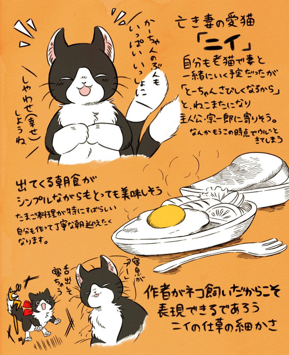 清水アイ先生(@aiai_shim)の『ねこまたとあさごはん』をご恵贈いただきました!
ちょっぴりのせつなさと、たくさんのやさしさで溢れた素敵なスローライフ漫画です…!
猫好きだけではなく動物好きの方にとてもおすすめ 