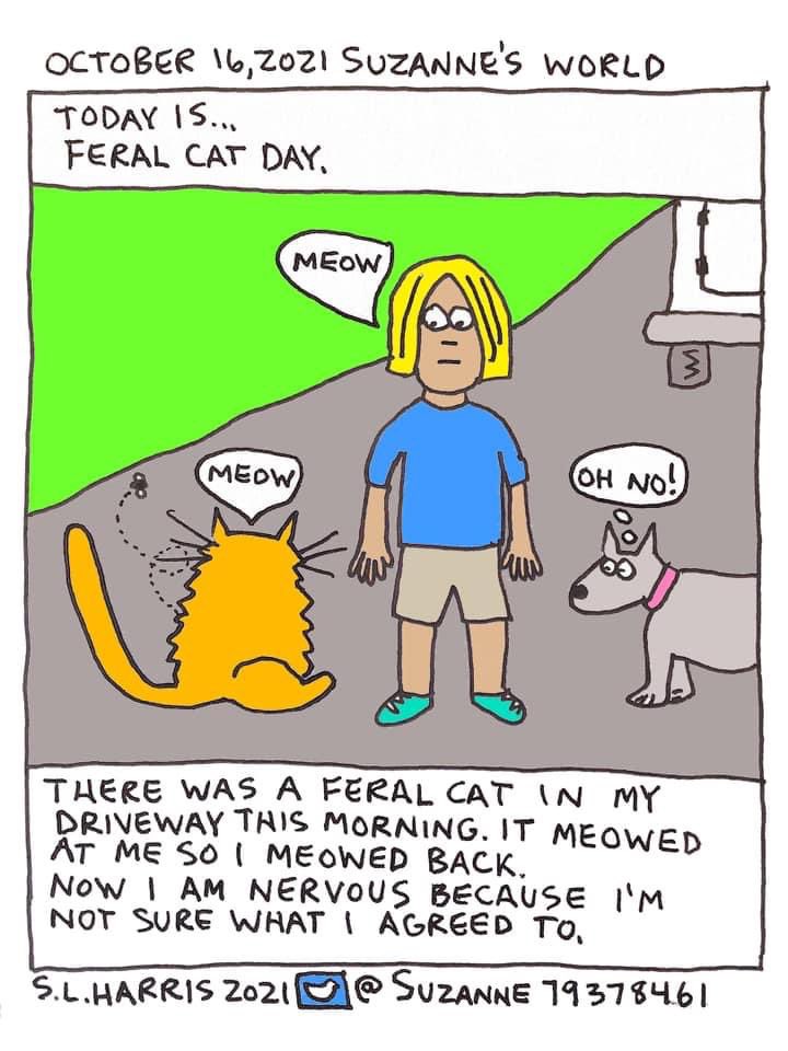 #FeralCatDay