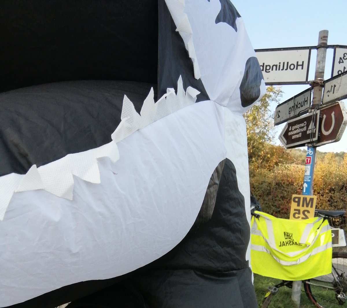 Great fun marshalling Maidstome Half Marathon... Dinosaur loose on the Pilgrim's Way with high 5s, cheers, tunes and selfies/photos @runmaidstone @SelfieSunRun