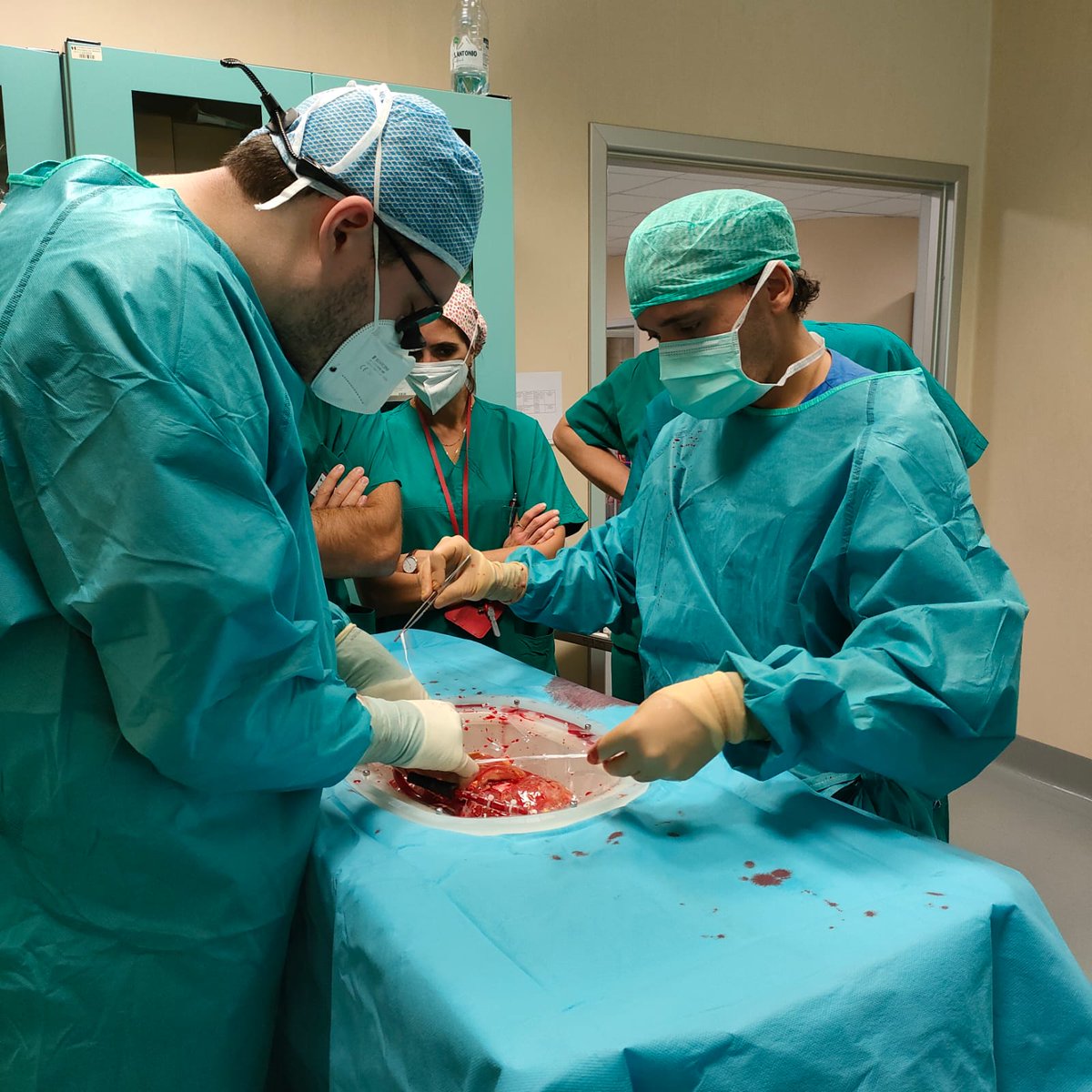 IvanVella91's tweet photo. The recipe for #happiness is always the same:
- Another #liver graft discarded by the local transplant center ✅
- Another sleepless #night ✅
- Another life #saved✅

Thanks to all my wonderful team @DeCarlis_R @Leo_100nze @MglMichele @ospniguarda

#DonateLife #LiverTwitter https://t.co/Y0pNizKaIz