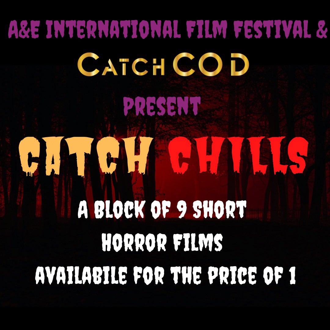 Catch Content On Demand tweet media