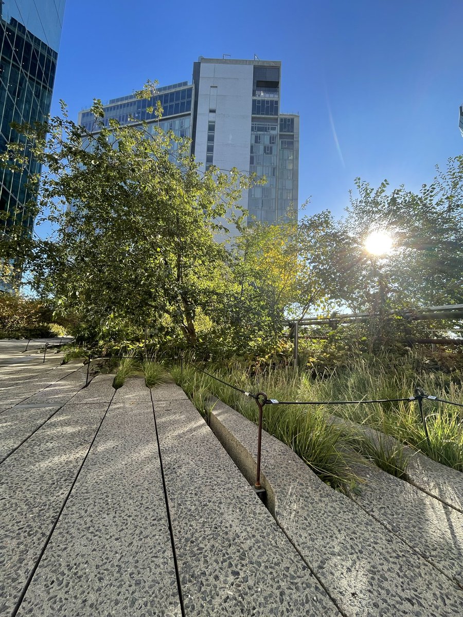 EllenMaryGarden's tweet photo. New York Highline ππ±
#newyork #thehighline #urbanplanting https://t.co/XnHMx6RvHl
