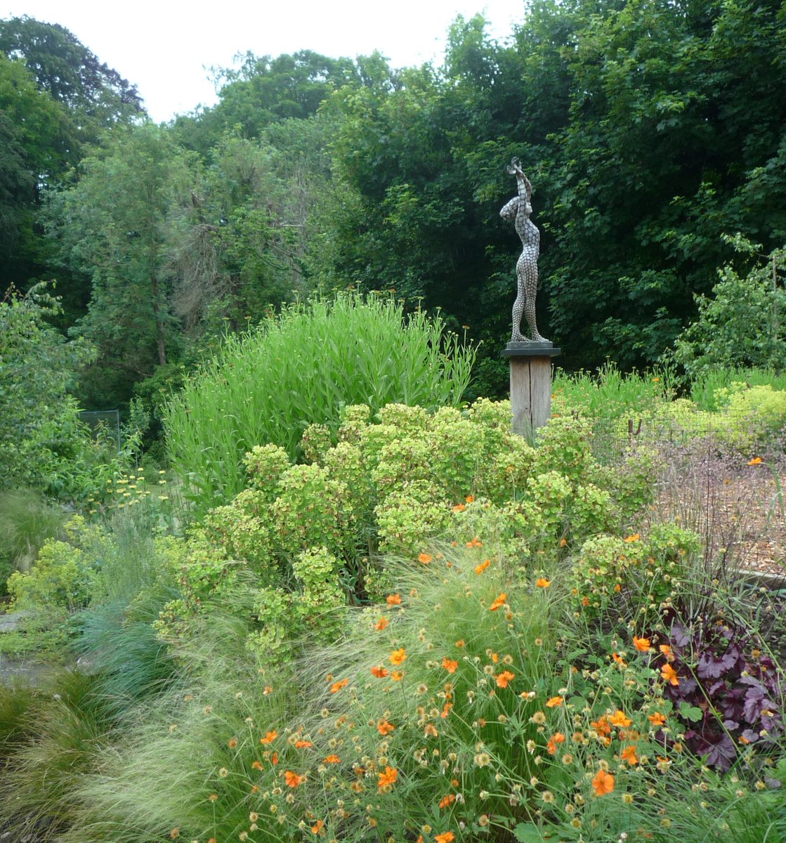 nancyrodgers418's tweet photo. Delighted to have been shortlisted in the ProLandscaper 'Small Project, Big Impact' awards in the Planting design category. #plantingdesign #plantingcompetition https://t.co/JXGyfBTopr