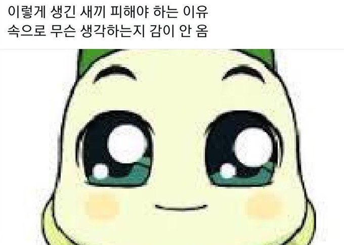 슈룹 계성대군