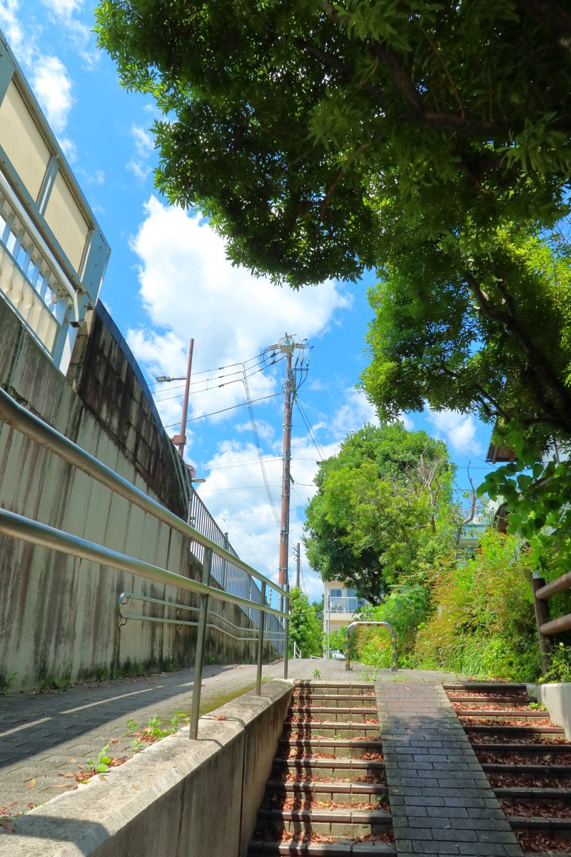 UHgS5PHjtlOLo24's tweet photo. 一度やってみたかった、アニメのようなワンシーン(笑)

おはようございます☺️

#Canon #canonphotography #アニメのワンシーンのように #G7X　#カメラ　#写真　#おはよう #おはようございます https://t.co/811HNqPmKh