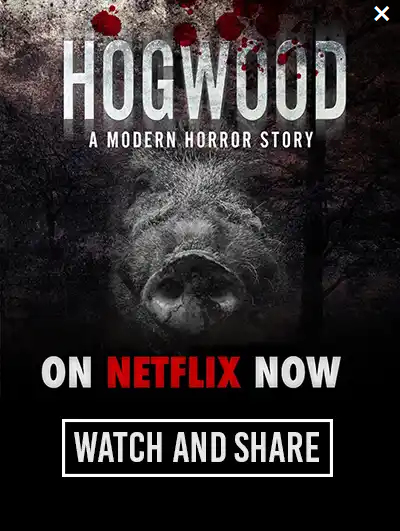 Watch "Hogwood: a modern horror story" and #GoVegan viva.org.uk/animals/campai… Available to watch now on Netflix, Amazon Prime Video, Apple TV and Google Play