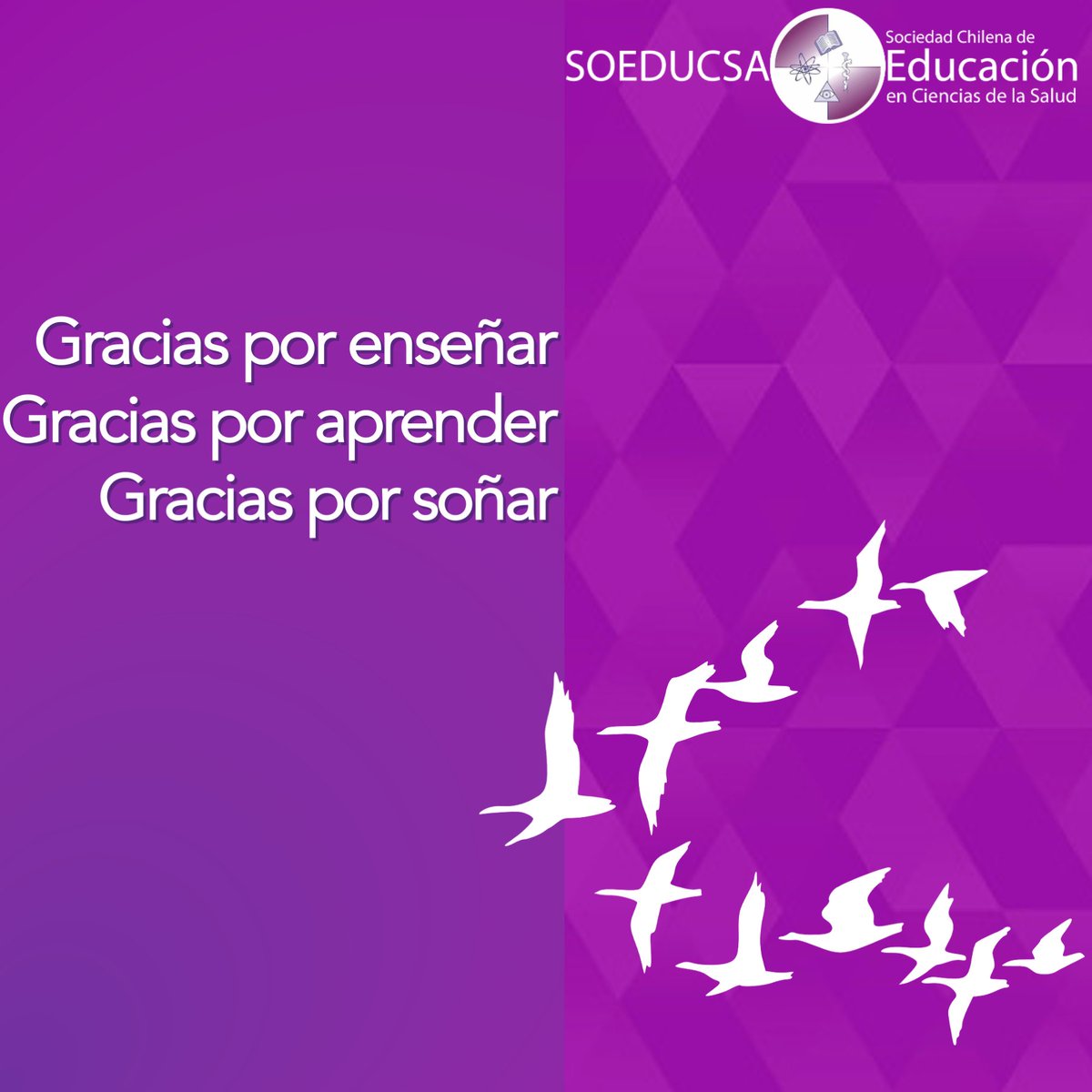 soeducsa's tweet image. SOEDUCSA saluda el día de hoy a quienes han asumido el rol de profesores/as por formación y a quienes, desde esa disciplina y desde otras, han asumido la tarea docente por vocación.

Gracias por educar. Gracias por aprender. Gracias por soñar.

#educacionmedica #educacion #meded