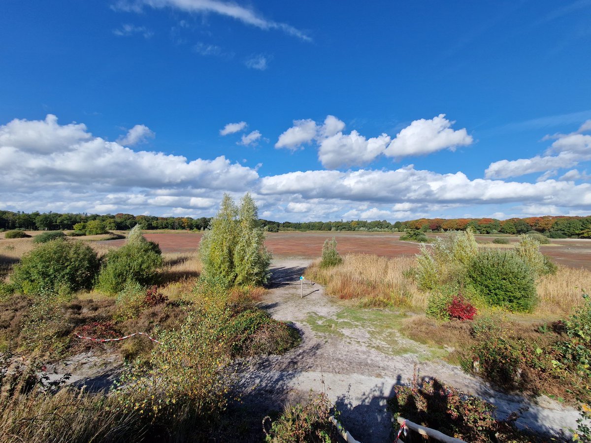 Voor het efteling gevoel kun je tegenwoordig ook bij het #ouwemeer (<a href="/GemEersel/">Gemeente Eersel</a>) terecht.... 
#Wachtrij 
#Kabouterpad 
#Blotevoetenpad
#ToegankelijkOmmetje
#Bosschuur