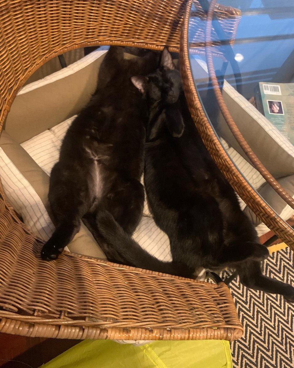 jillian_k (@moonmetaversed) on Twitter photo 