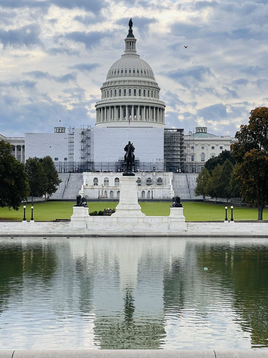 DJ_Lakkireddy's tweet photo. Beautiful morning in the nations Capitol ready to start the Legislative Efforts to save medicine with a morning walk on the national mall @Cardiology @ACCinTouch @HRSonline #saveablation #savecardiology @EdwardFryMD @AndrewKrahnMD @sandylewis https://t.co/xuwvMdoUfp