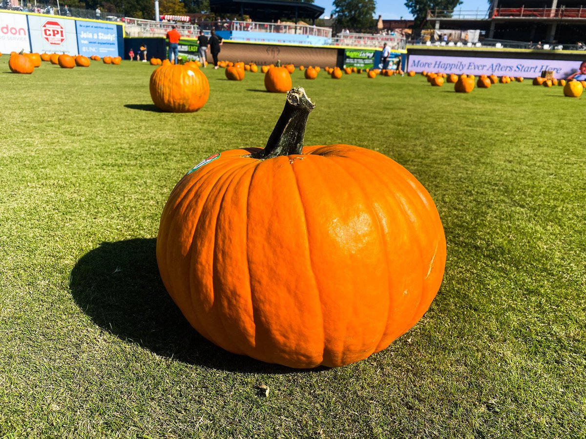 It’s the last day of beer and food specials, craft vendors and our pumpkin patch! Come enjoy the beautiful fall weather today at the ballpark. The fun starts at Noon and ends at 6pm! Pumpkins will be available while supplies last!