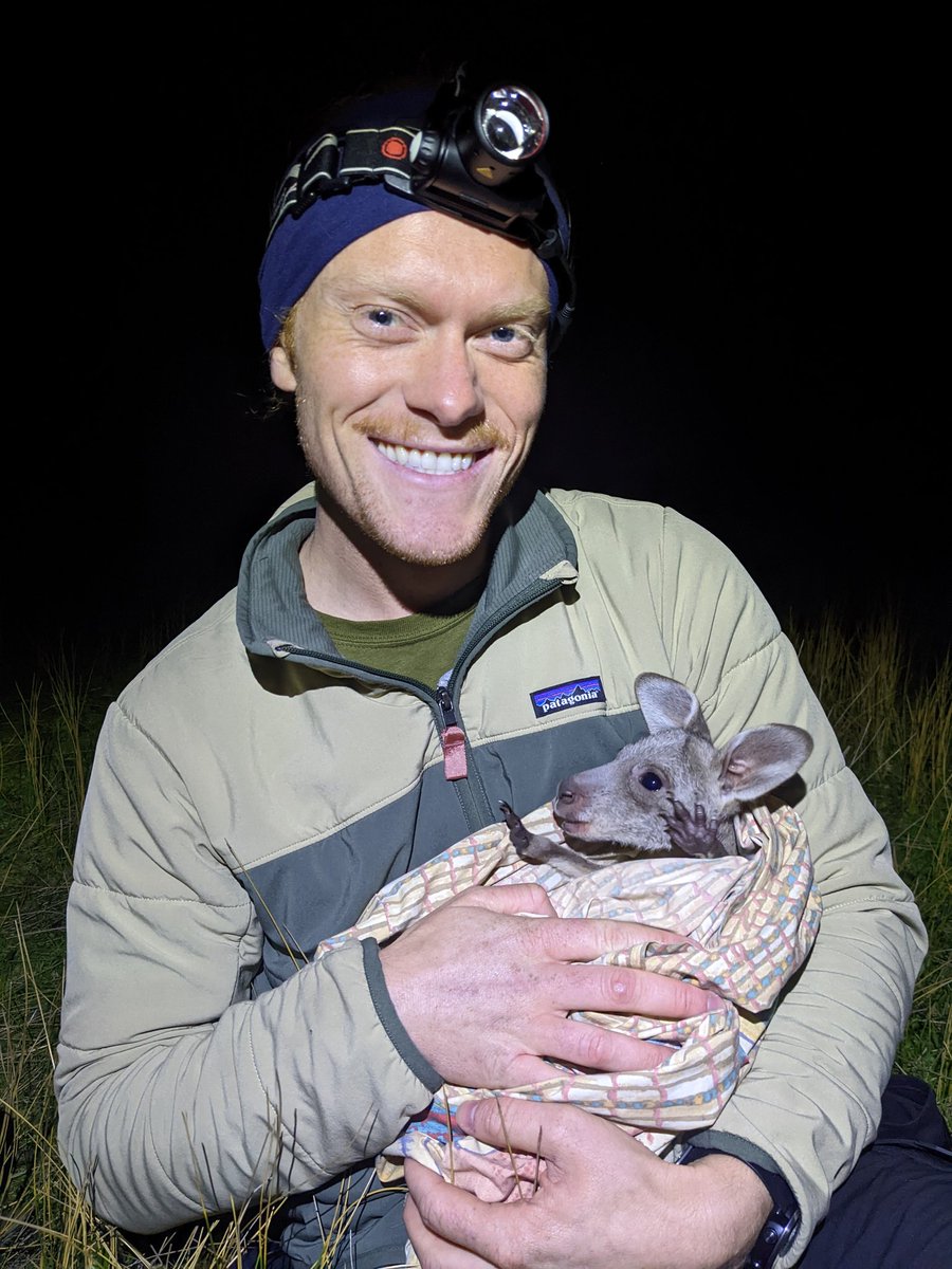 Hello!

My name's Kelly! I am a Master's student from BC, studying in Quebec (UdeS), doing fieldwork in Australia. My research focuses on the long term cost of reproduction in eastern grey kangaroos, supervised by @festa_bianchet. Check out our website and ask me macropod Q's! 🦘