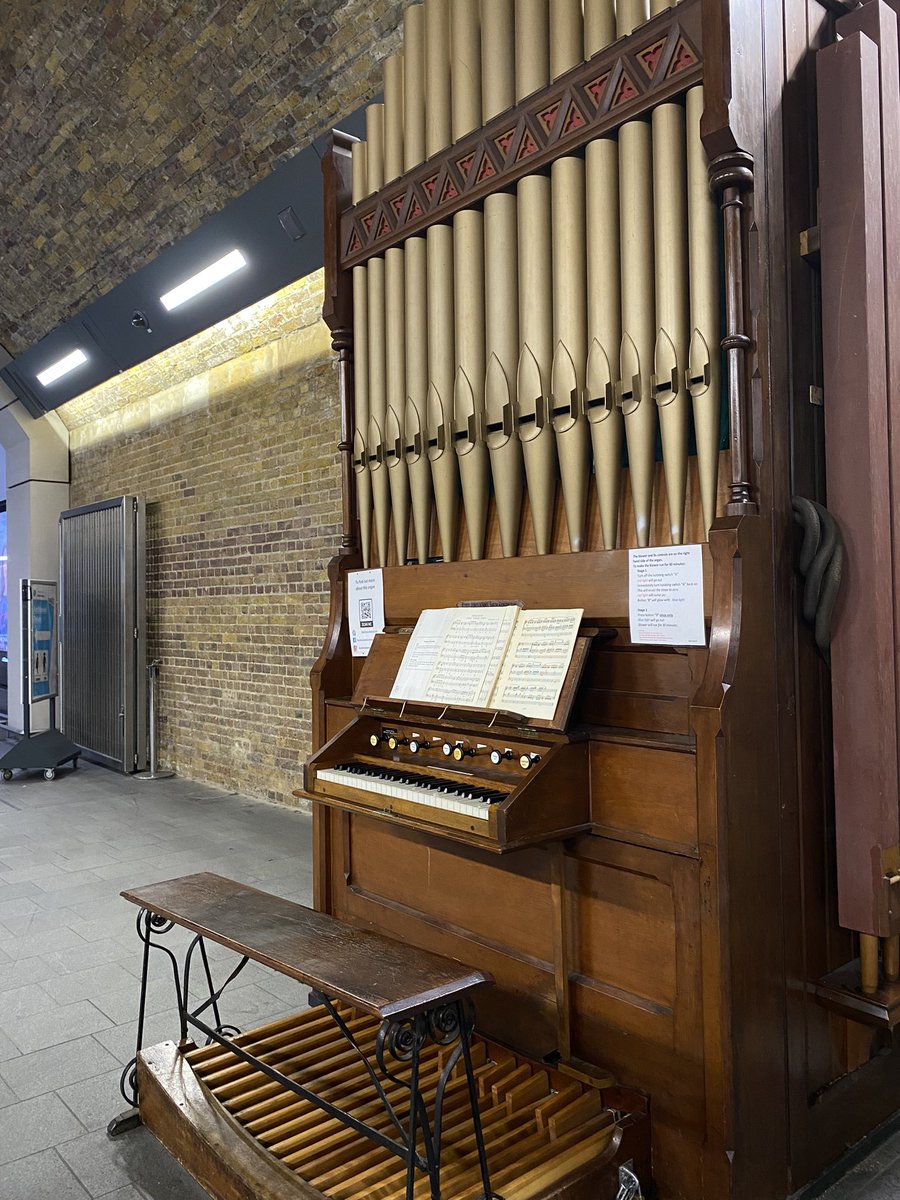 Molly Hord tweet media