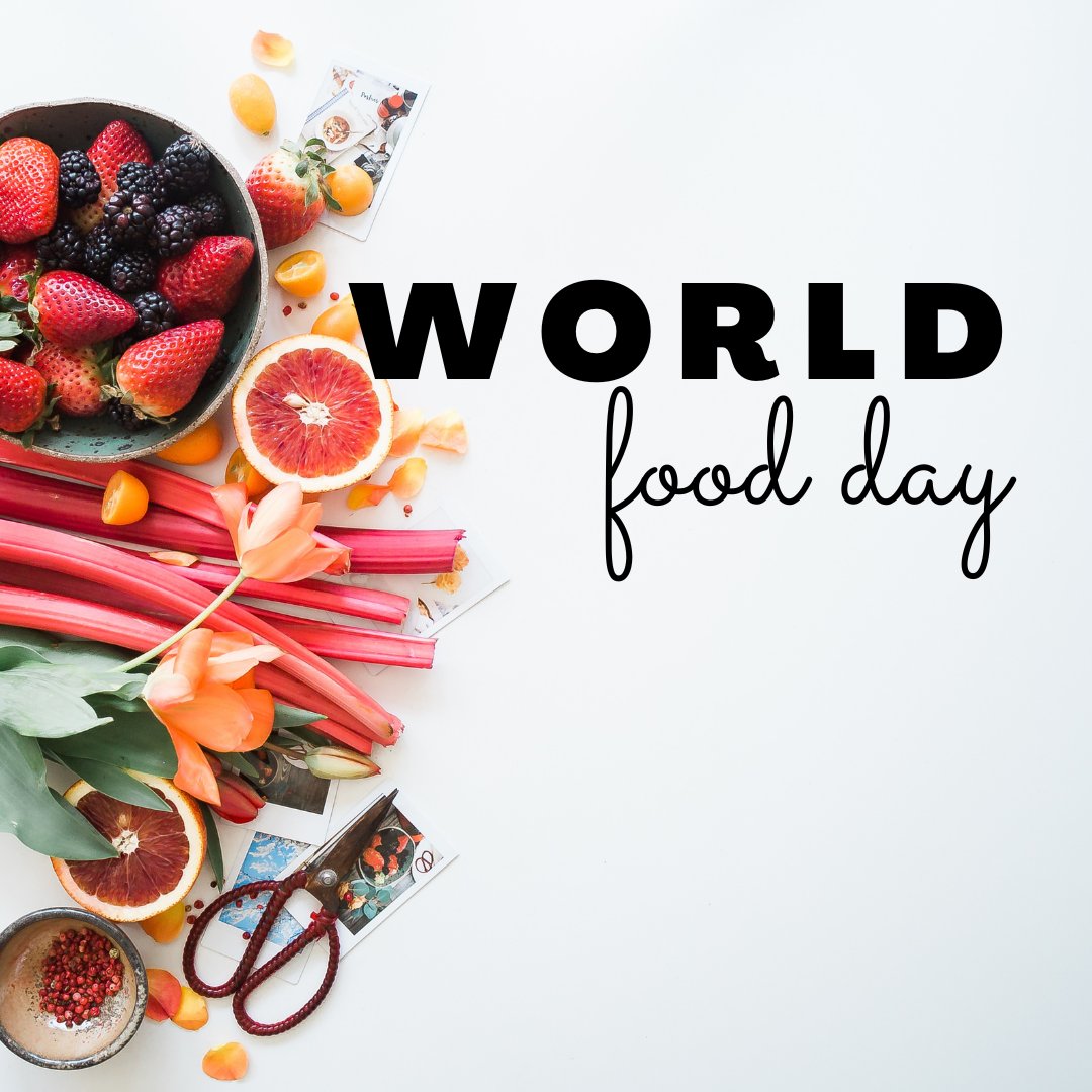 shellsfeed's tweet photo. Happy #WorldFoodDay! Food brings people together in a huge variety of ways, from family gatherings to first dates. What's your favorite food? https://t.co/q93BrUhOoC