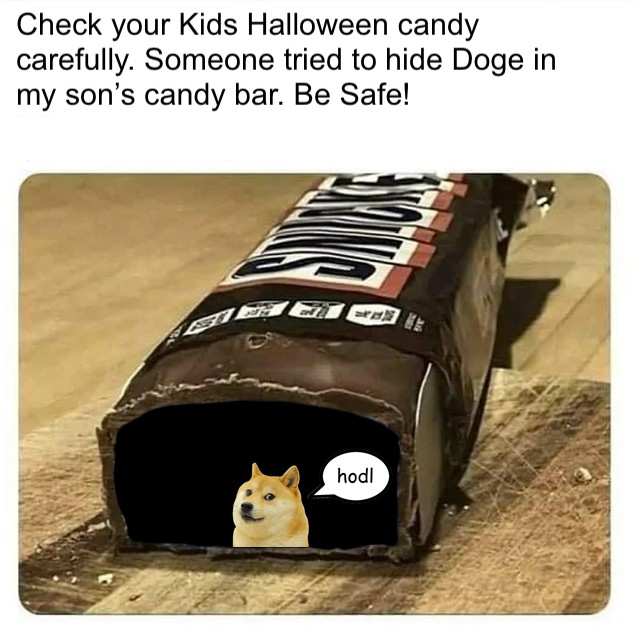 Trick or treat with <a href="/babydoge/"></a>?