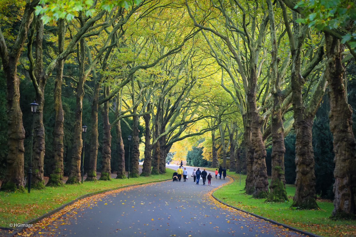 HGimage_'s tweet photo. Autumn Colours 

#AutumnVibes #Poland #colors https://t.co/86gbw0CyvM