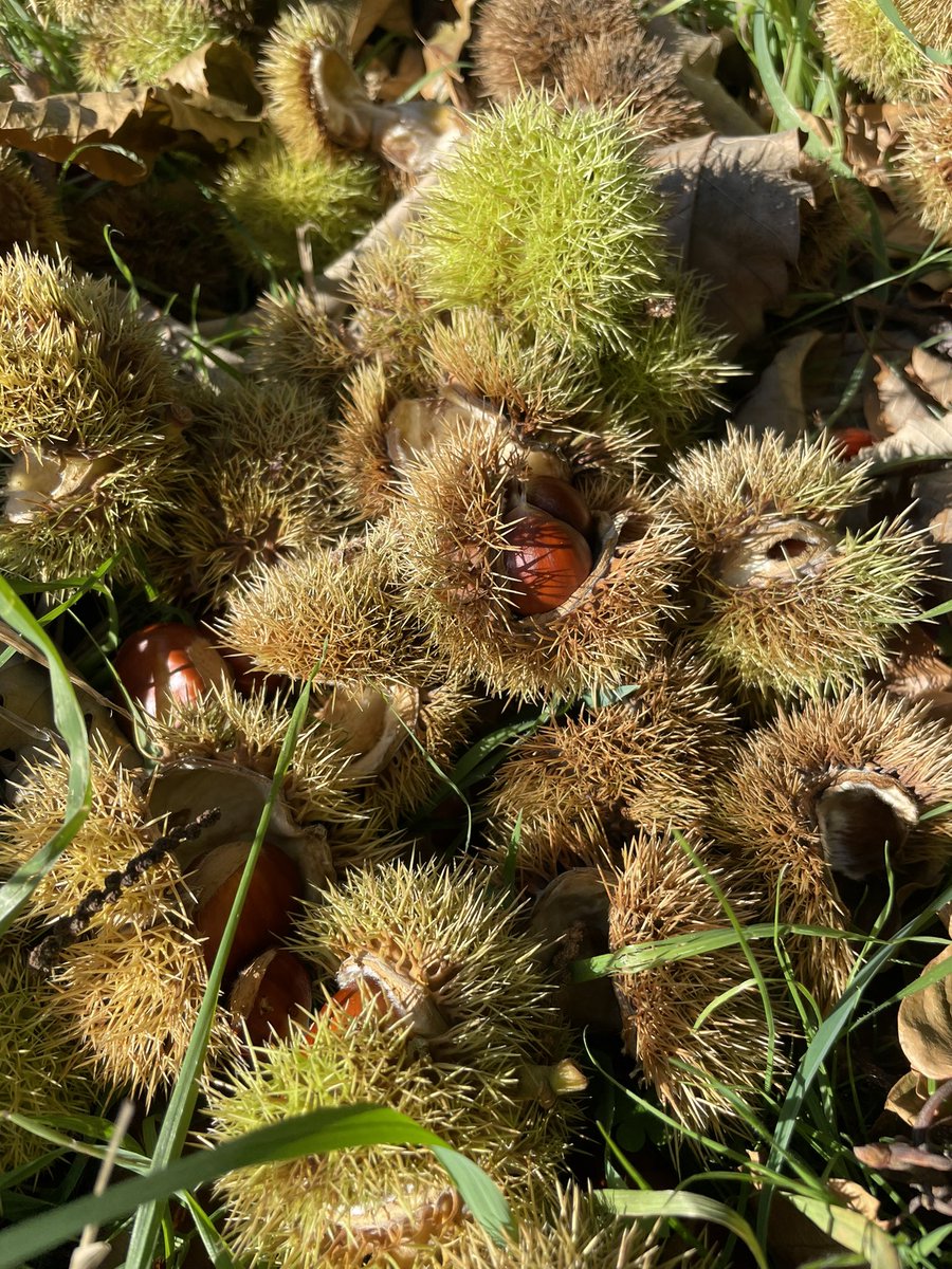 Kerry Radley 💙 tweet media