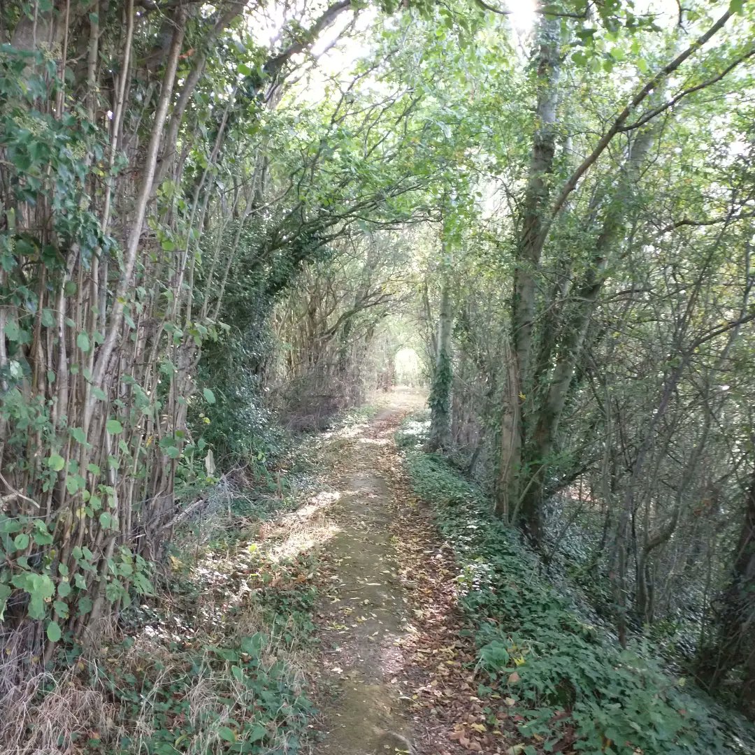LizleyFowler's tweet photo. Different views. Sheep patroling Offa's Dyke. River Severn looking tranquil. Local history. https://t.co/AyOOdXKs2Q