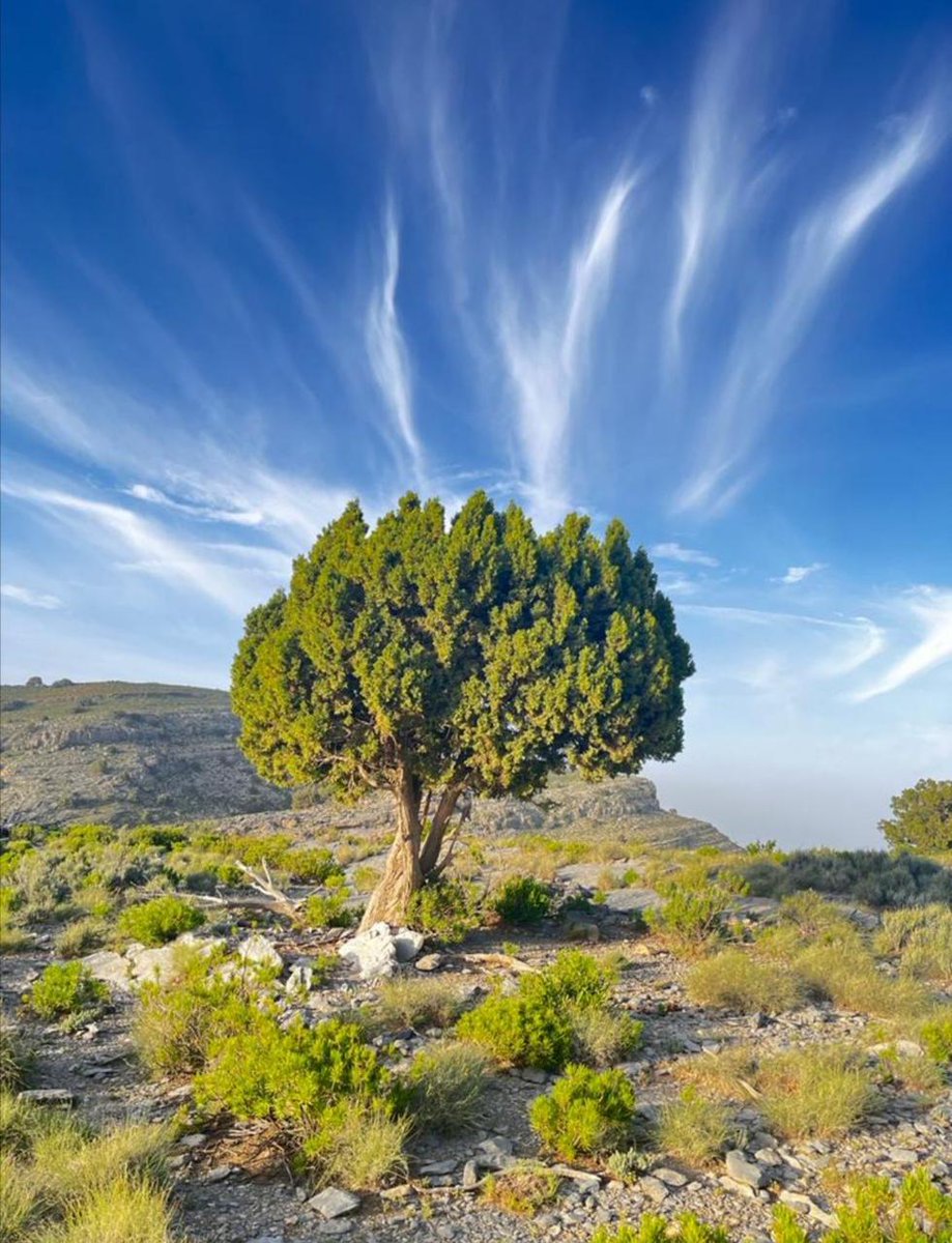نصف جمال الإنسان في لسانه والنصف الاخر في أخلاقه،أما الوجه ليس أكثر من غلاف يتغير مع مرور الزمن👌🏼...

#مساء_الخير
#اجواء_الشتاء