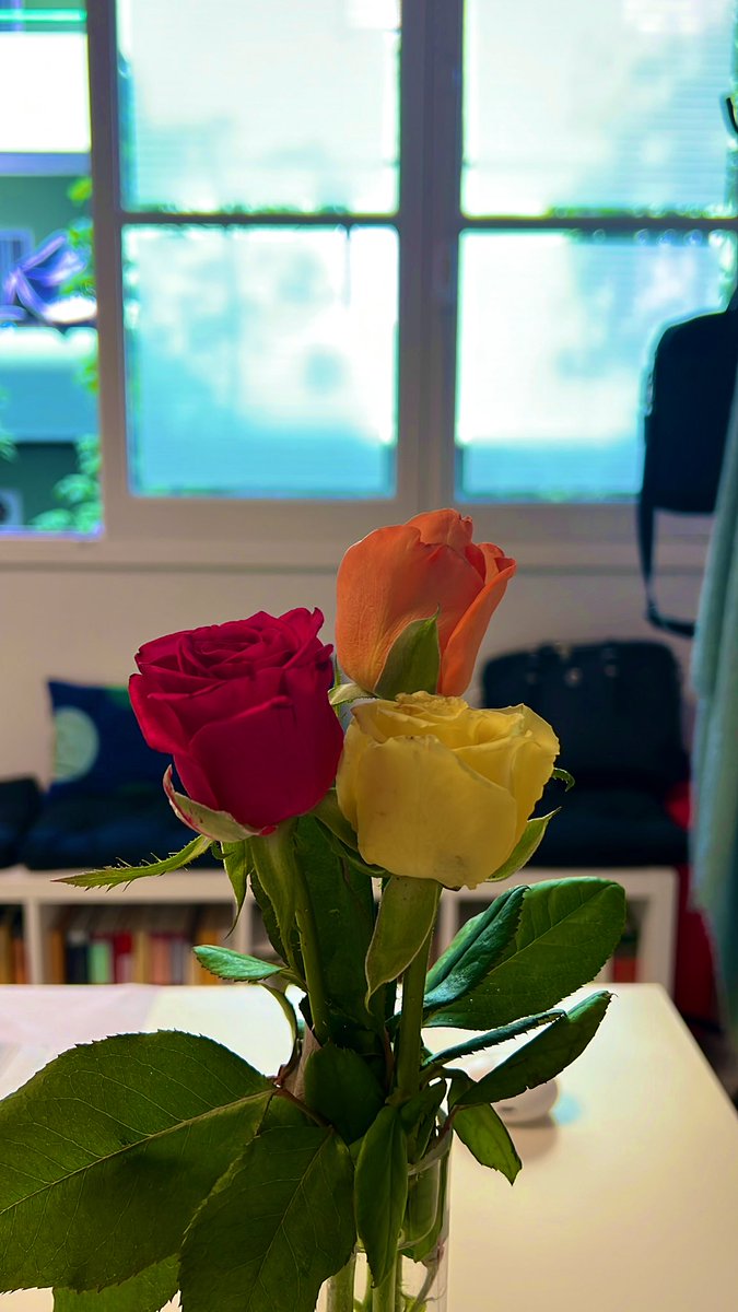 JeimyPove's tweet photo. Vuelven las flores 🍀♥️☀️♣️😘 #Dataseg https://t.co/lnSl9yIHhq