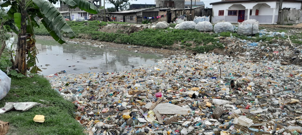 LucienCMR's tweet photo. Today alongside with associations #AEJC #LeSaphir and #AJVB, we collected two mosquitoe nets of plastic bottles.
#Waste to #EndPoverty #DignityForAllinPractice https://t.co/iRZTnToRci