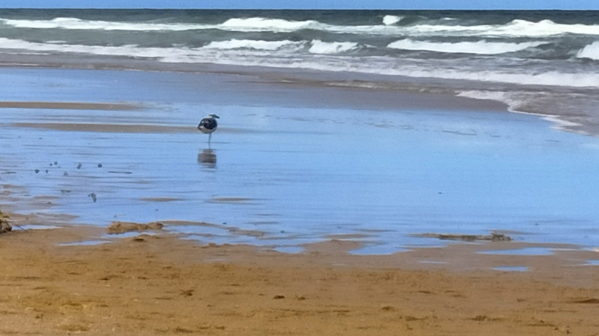 It's a beautiful morning! It's going to be a really great Sunday ❤️