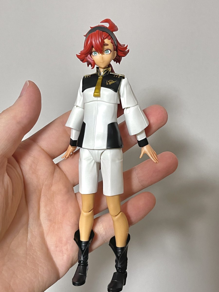 かわいいたぬき 