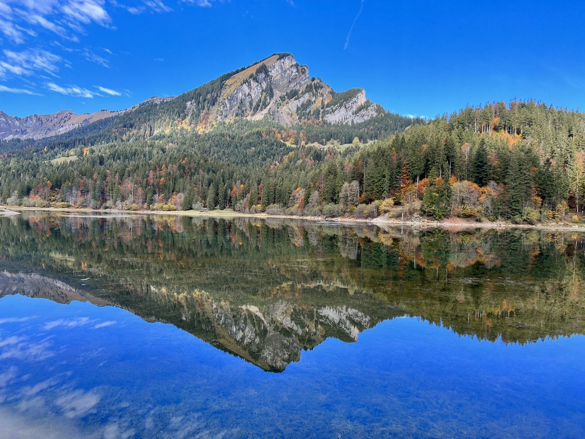 t_hersche's tweet image. Fall in Switzerland #fall #Switzerland