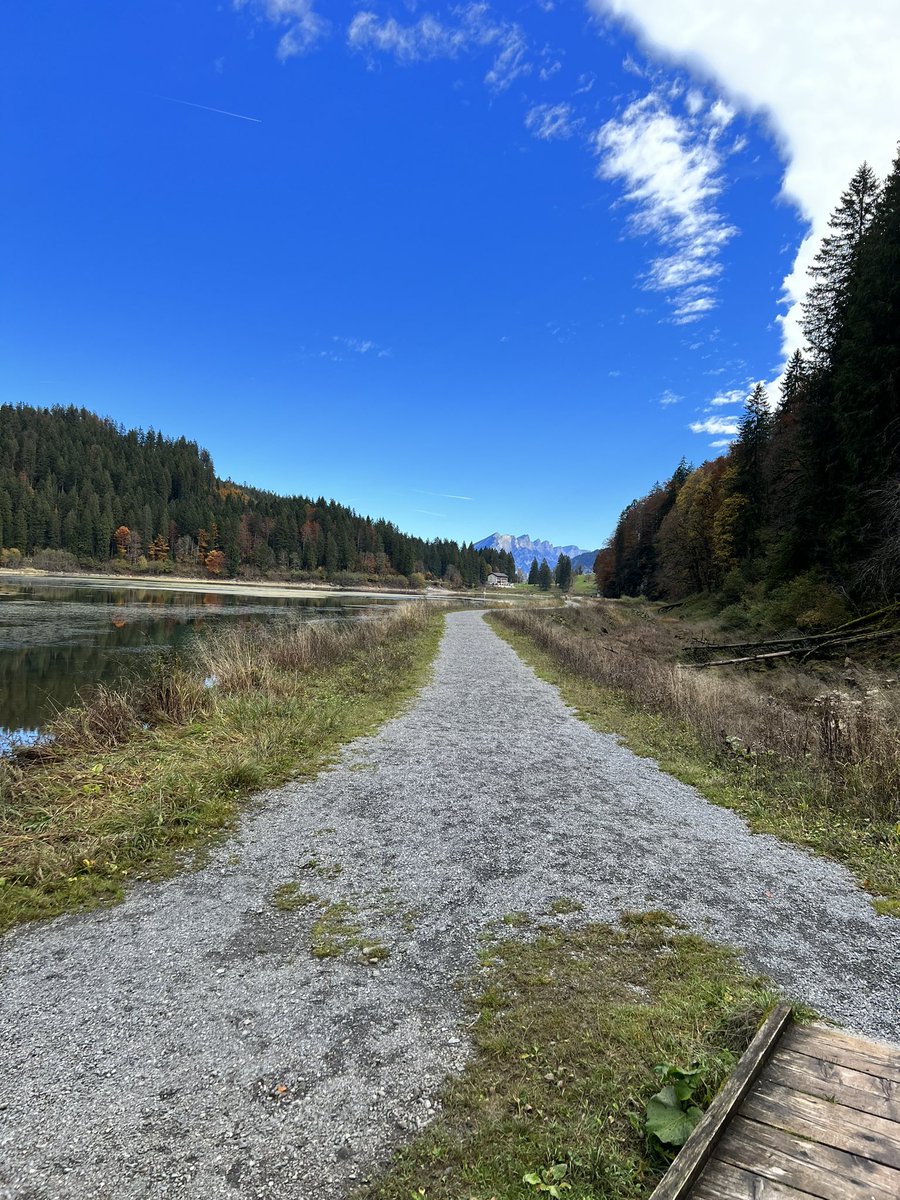 t_hersche's tweet image. Fall in Switzerland #fall #Switzerland