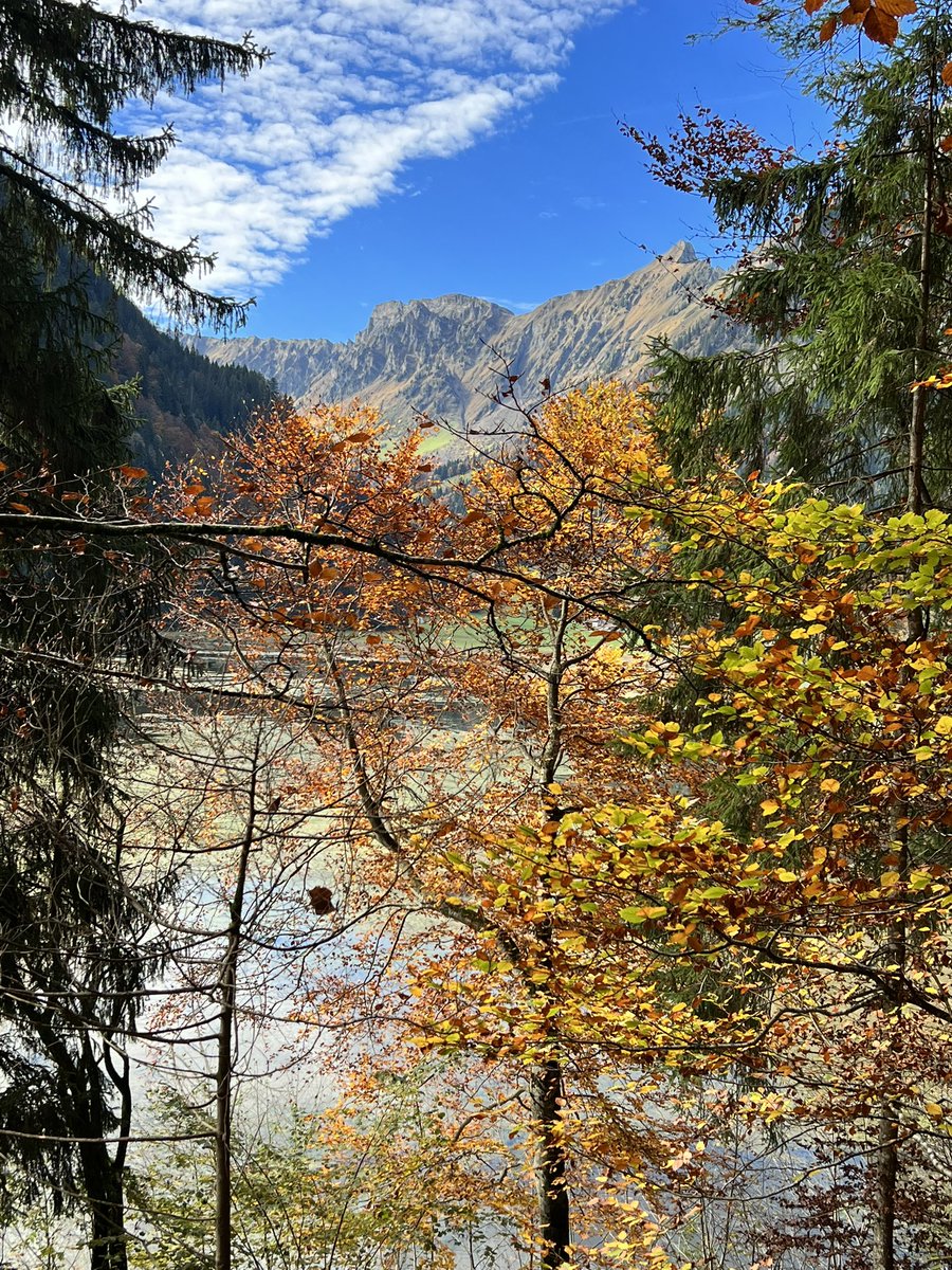 t_hersche's tweet image. Fall in Switzerland #fall #Switzerland