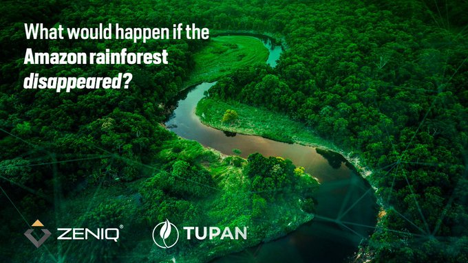 vo28's tweet photo. Päästa metsad.
https://t.co/POESiYmkpq https://t.co/qrCONu8BoM