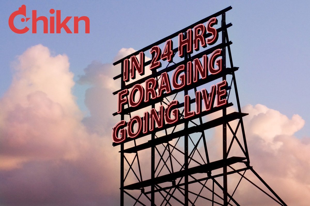 The Day has come to let our <a href="/chikn_nft/">Chikn 🔺</a>
&amp; <a href="/RoostrNFT/">Roostr 🔺</a> out in <a href="/FarmLand_NFT/">FarmLand 🔺</a>

<a href="/chiknstitute/">chiknstitute</a> <a href="/ChiknBokcast/">Chikn</a> <a href="/animalchartsorg/">Duke</a> <a href="/avaxchikn/">Search4Yield 🔺 % 🥚🐓</a> <a href="/SherbokH/">Sherbok</a> <a href="/WojakSatoshi/">Wojak Satoshi</a> <a href="/SaltLampDAO/">BBQ Sauce</a> <a href="/WeaselStompers/">Weasel Stompers 🔺🥾💥</a> <a href="/JuniorKleine/">Jeune Kleine</a> <a href="/Shaukat1530/">Shaukath9000🔺( ironcoq-man )🐔</a> <a href="/chikn_kfc/">KFC 𝕏 Chikn</a> <a href="/hoopdreamsbball/">HoopDreamsBball🏀🧠</a> @V_Forever13 <a href="/SaltLampDAO/">BBQ Sauce</a> @natenmang