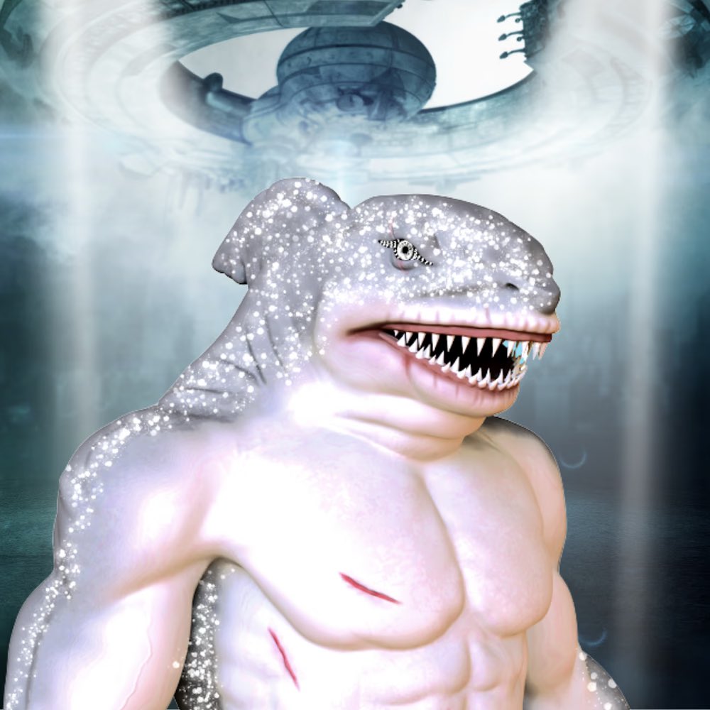 KINGSHARK tweet media