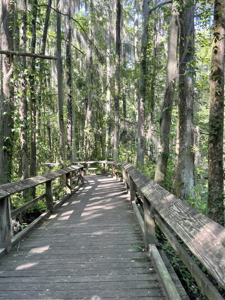blazingtai's tweet photo. basking in the beauty nature offers. https://t.co/FcdpD59xpf