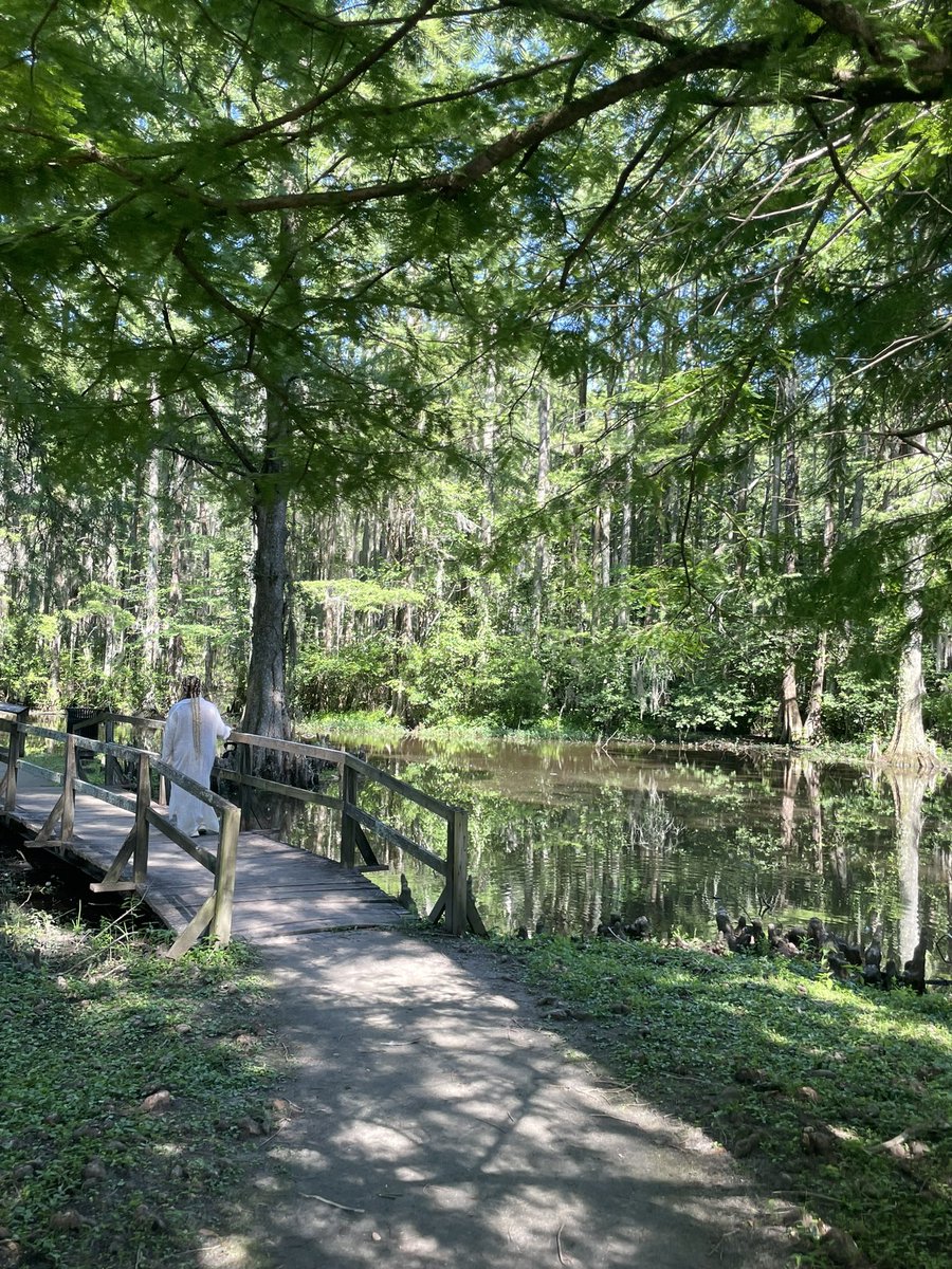 blazingtai's tweet photo. basking in the beauty nature offers. https://t.co/FcdpD59xpf