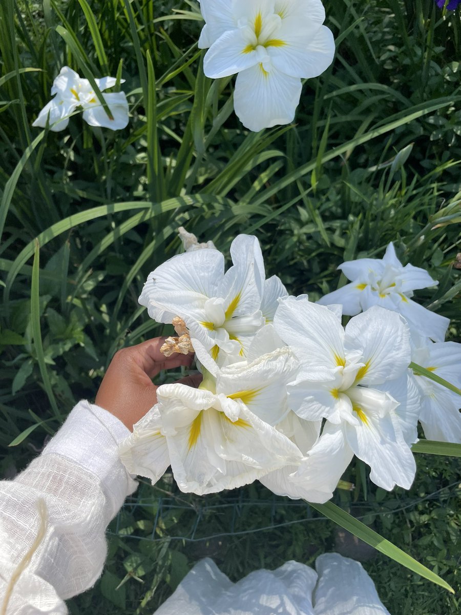 blazingtai's tweet photo. basking in the beauty nature offers. https://t.co/FcdpD59xpf