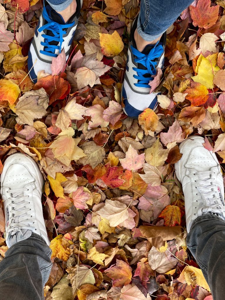 Dan Thorpe tweet media