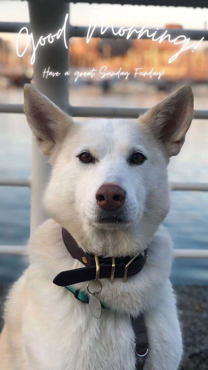 Have a great #SundayFunday !