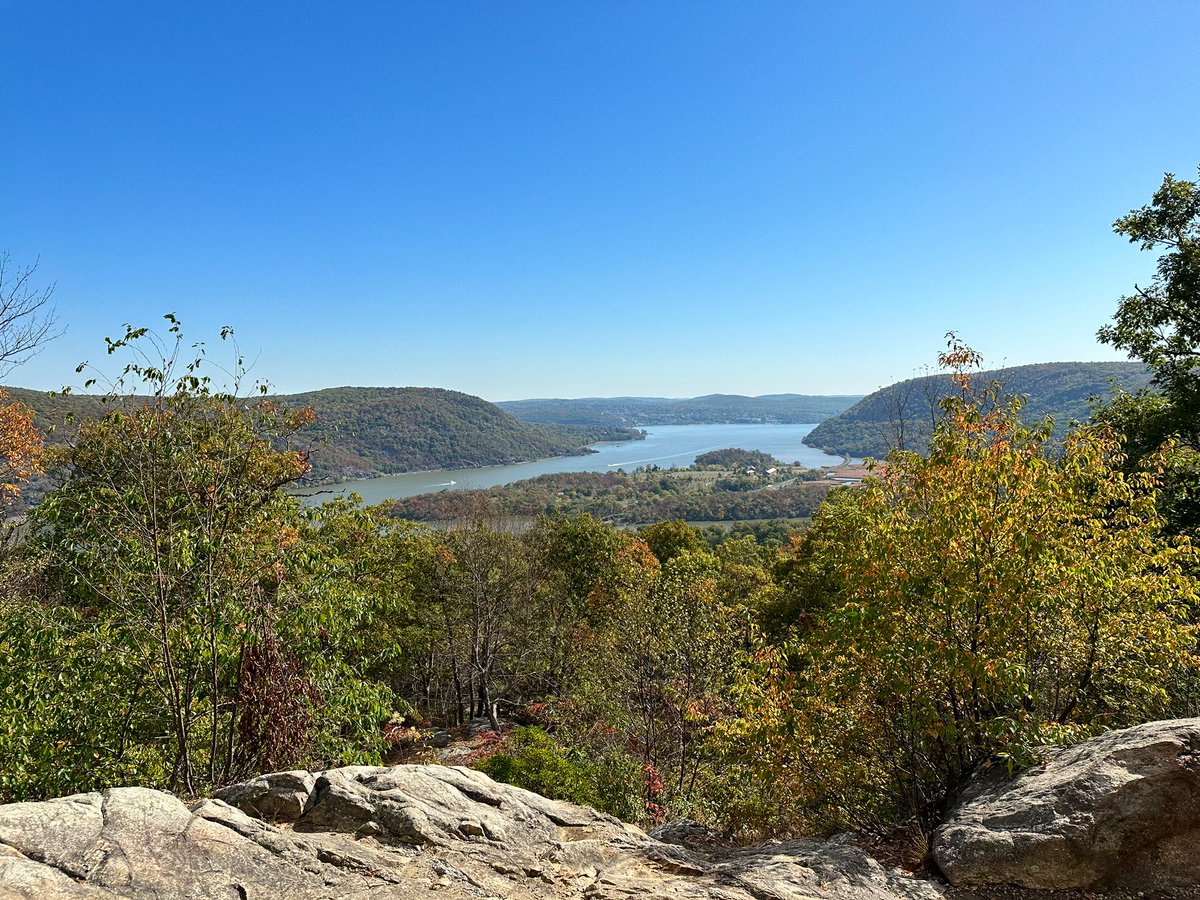 Una 🇺🇦 tweet media