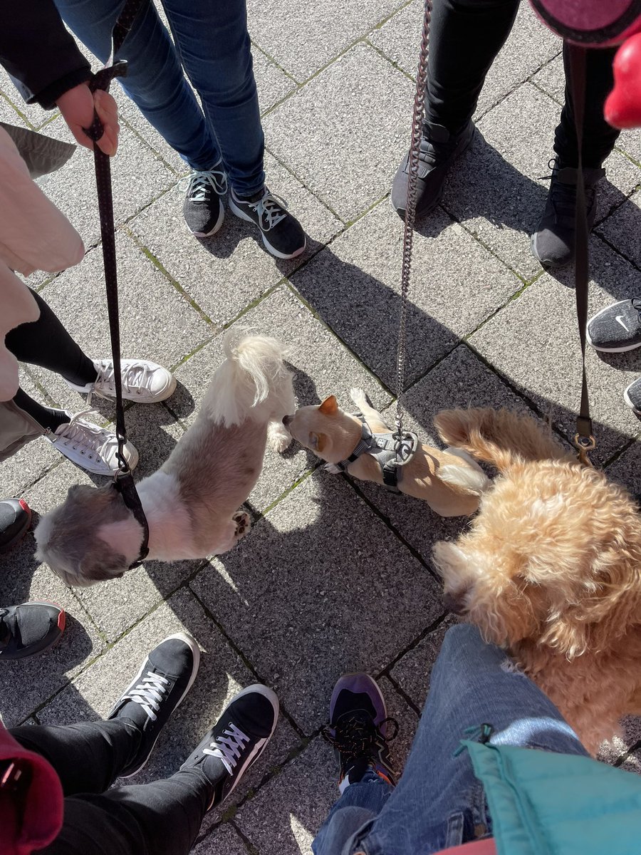 MHMCardiff's tweet photo. Great walk this morning around #cardiffbay great to see lots on new faces with both 2 and 4 legs #cardiff #wales #MentalHealthAwareness https://t.co/AE9MUTChY9